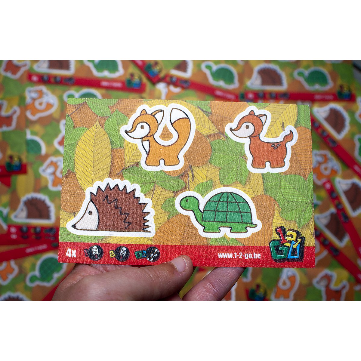 Schoenstickers - hulp voor links en rechts aantrekken - 14 varianten