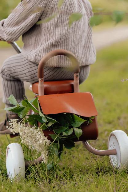 Driewieler Baby Bike - Pale Green